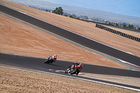 Advanced Group Red Bikes